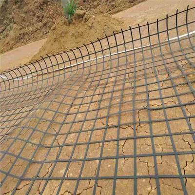 公路鐵路路堤路基加固深海作業堤岸用鋼塑土工格柵